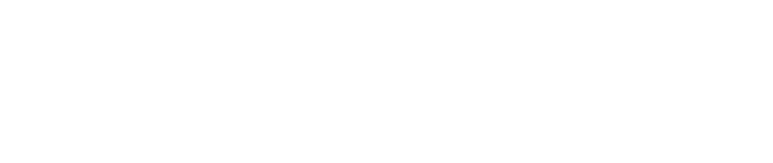 Logo-TRB-express-negativo-h-white
